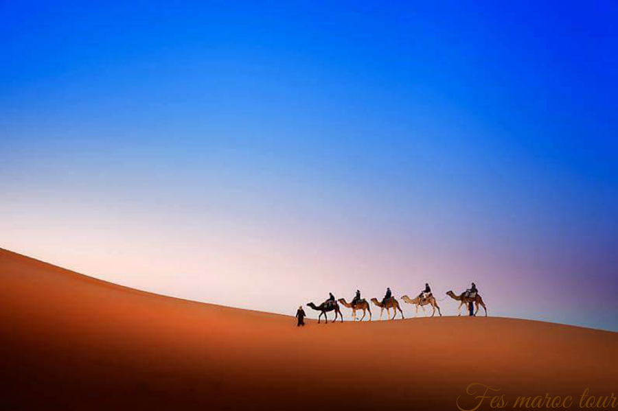 fes-desert-tours-|-fes-to-marrakech-desert-tours-|-3-days,-4-days,-5-days-fes-sahara-desert-trips-|-camel-trekking-in-merzouga